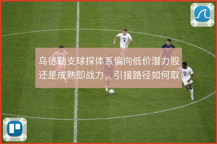 乌德勒支球探体系偏向低价潜力股还是成熟即战力，引援路径如何取舍