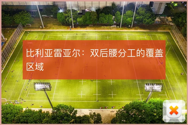 比利亚雷亚尔：双后腰分工的覆盖区域