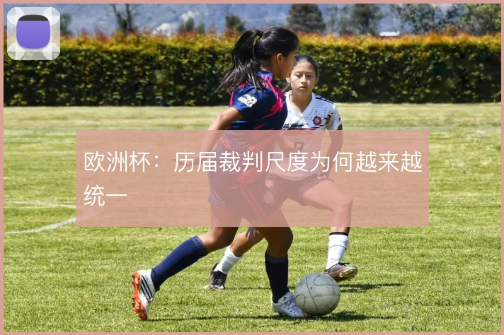 欧洲杯：历届裁判尺度为何越来越统一