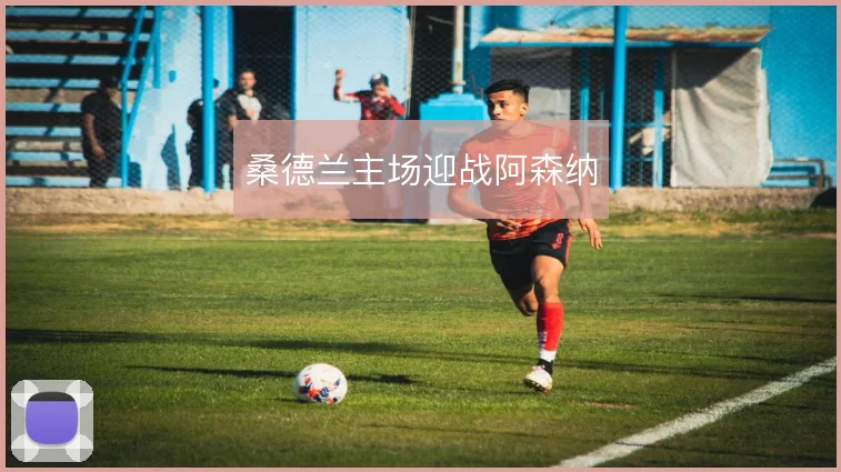 桑德兰主场迎战阿森纳