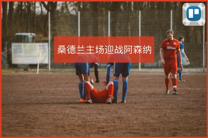 桑德兰主场迎战阿森纳