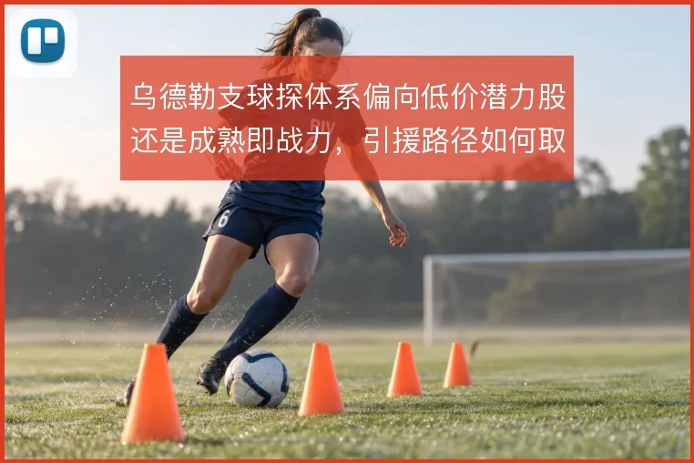 乌德勒支球探体系偏向低价潜力股还是成熟即战力，引援路径如何取舍